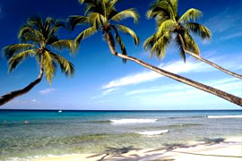 Beach Tour of South India
