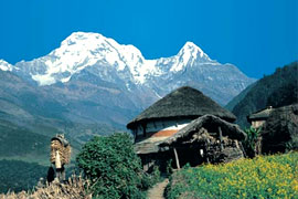 Nepal Tour