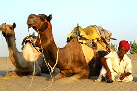Rajasthan Tour packages