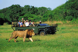 South Africa & Kenya