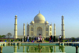 Wildlife with Tajmahal